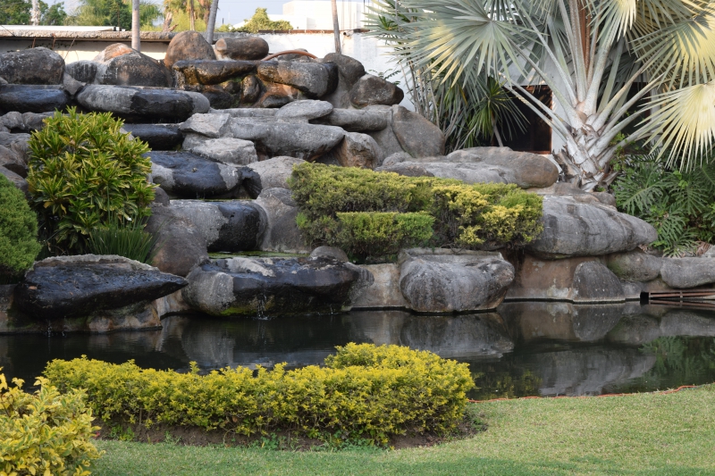 paysagiste-CAGNES SUR MER-min_garden-green-rock-natural-landscape-wall-grass-1613997-pxhere.com